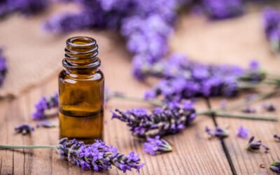 Lavender: Does it Have Real Healing Potential?