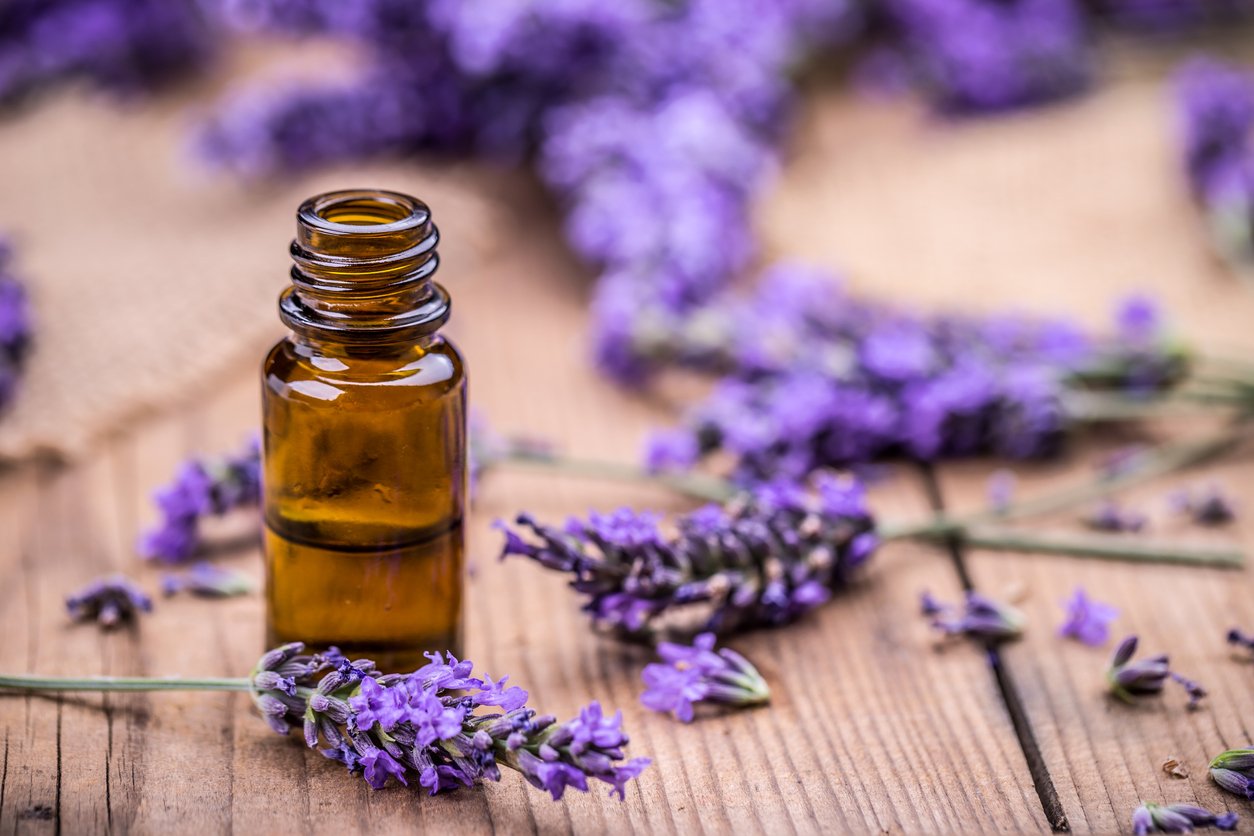 Lavender: Does it Have Real Healing Potential?